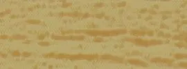 W 95