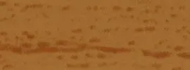 W 96