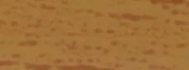 W 98