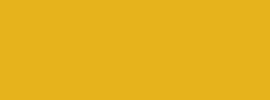 BASIC COLOUR 138