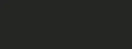 BASIC COLOUR 119