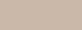 BASIC COLOUR 110