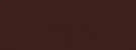 RAL 8019